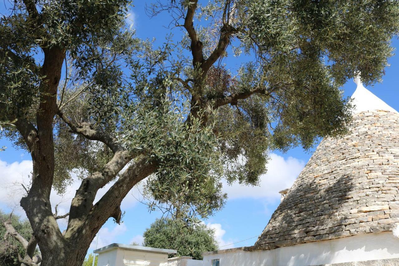 Trulli Alla Controra Конверсано Екстериор снимка