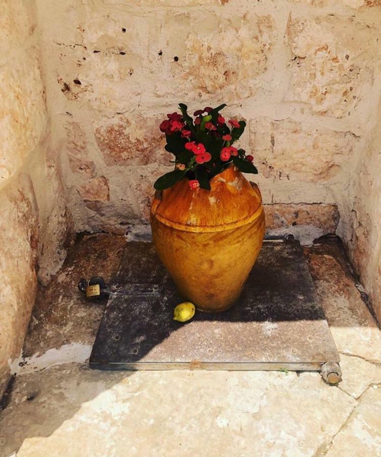 Trulli Alla Controra Конверсано Екстериор снимка